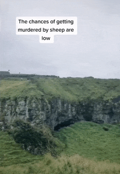 Sometimes You Should Beware of Sheep