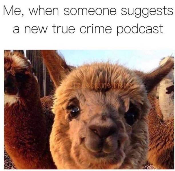 These True Crime Memes Are Filled With Suspense