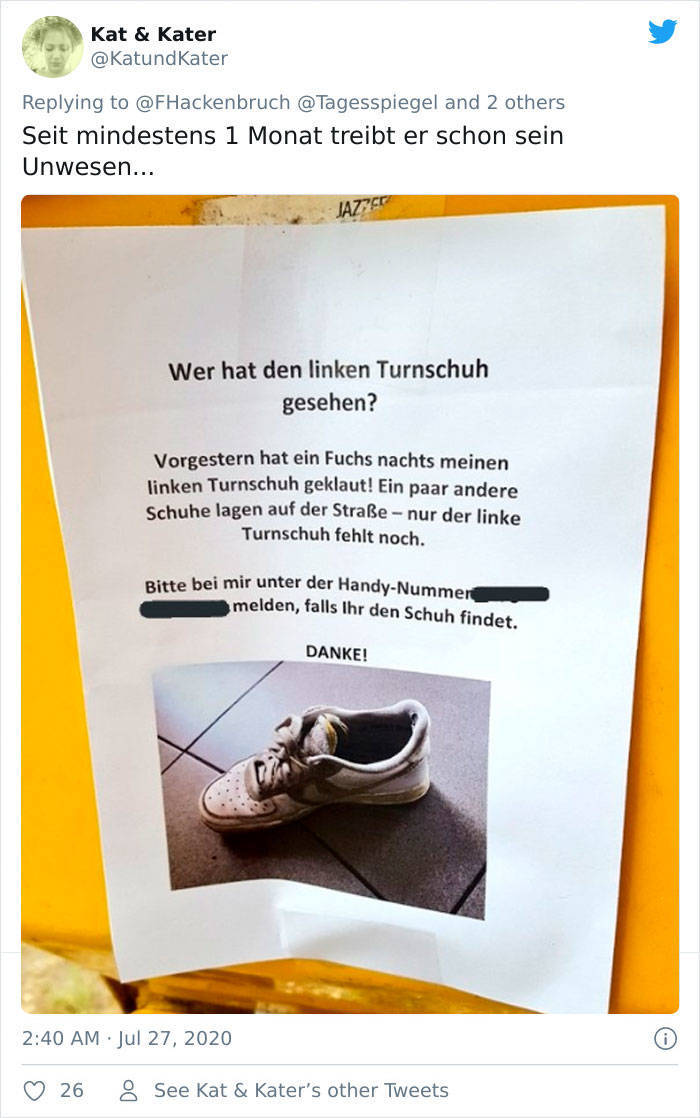 This German Fox Is A Shoe Thief!