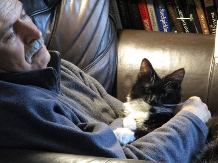 Dads Who Lost Their Battles Against “Unwanted” Pets