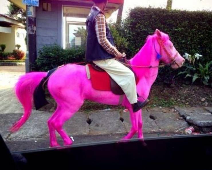 Daily Picdump [WEEKEND EDITION]