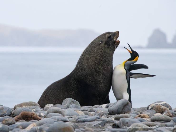 Daily Picdump [WEEKEND EDITION]