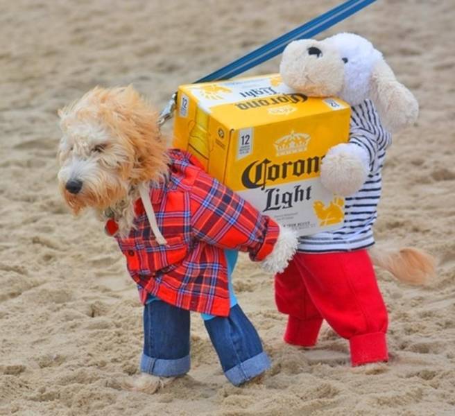 Daily Picdump [WEEKEND EDITION]