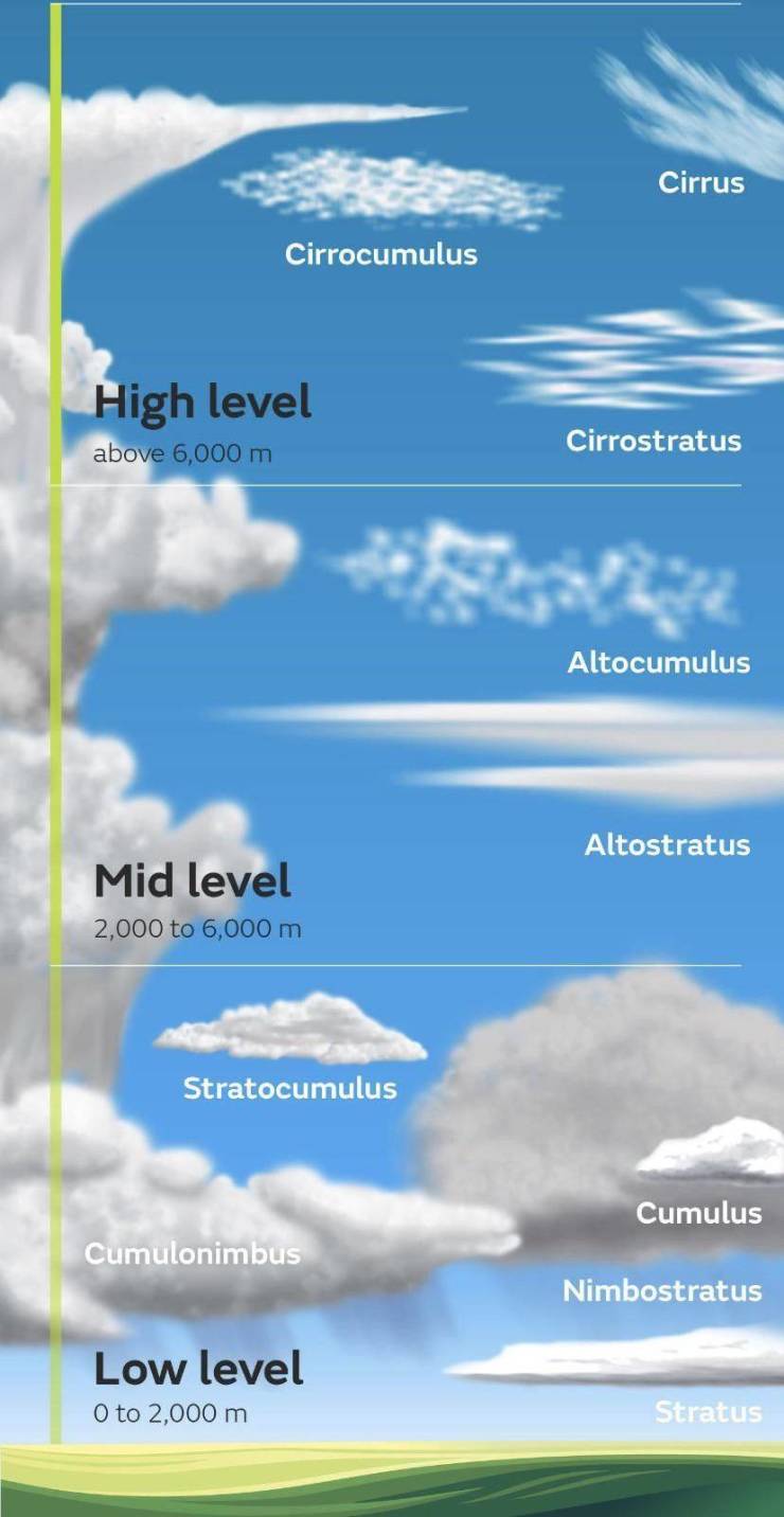 These Charts Are Filled With Random Knowledge