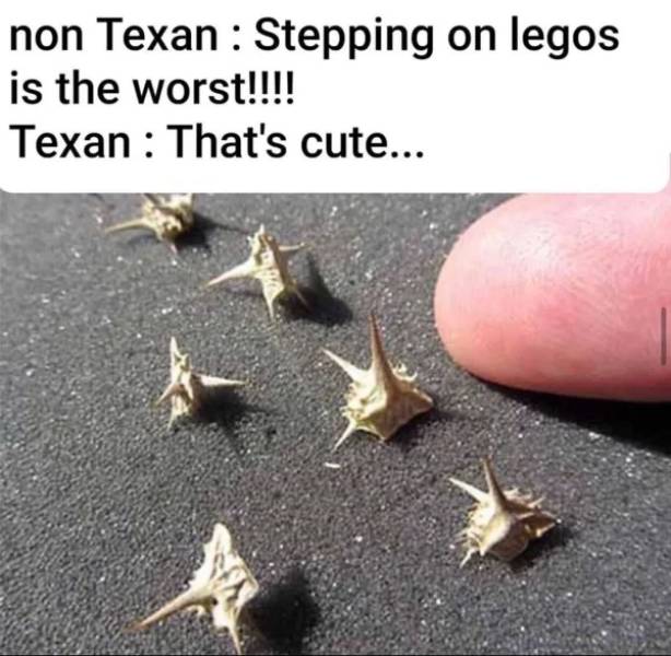 It’s Texas, Y’all!