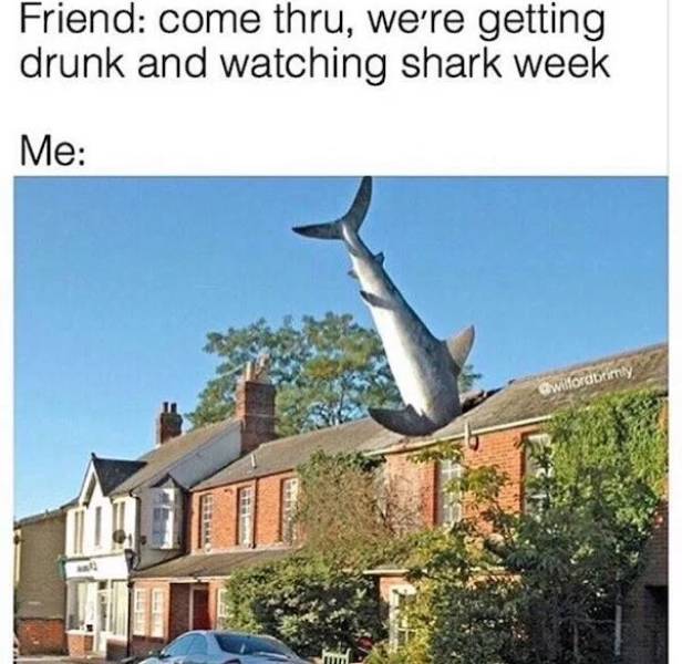 Take A Bite Out Of These Shark Week Memes
