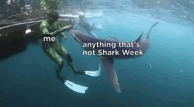 Take A Bite Out Of These Shark Week Memes