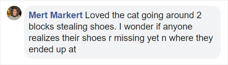 This Cat Is An Experienced Shoe Thief!