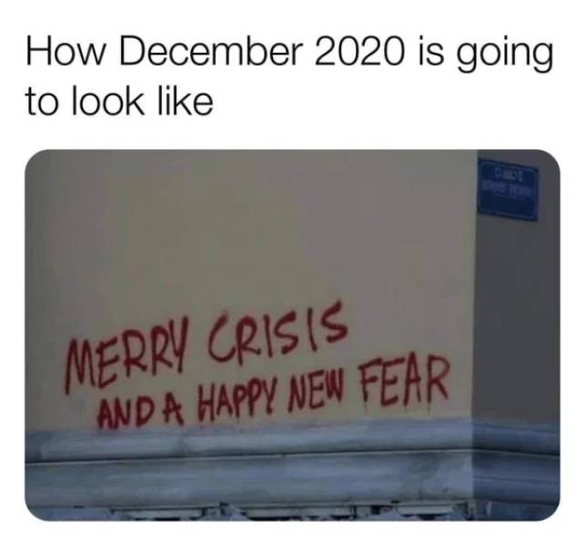At Least 2020 Gave Us A Lot Of Memes…
