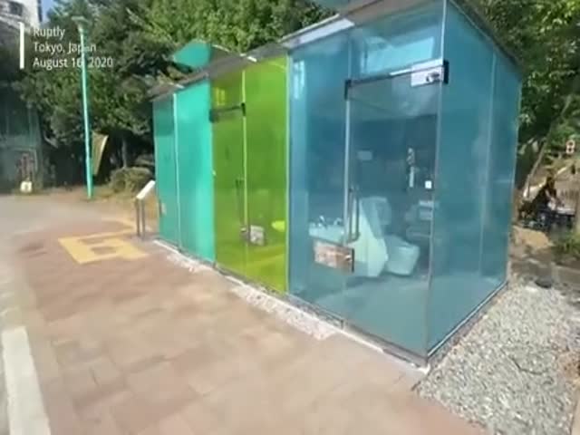 These Japanese Toilets Are Not That Transparent…