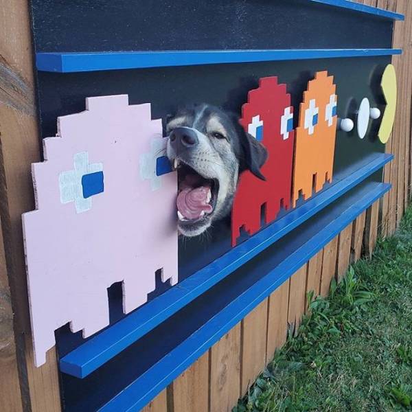Dogs Love This Fence Hole, So Their Owners Decided To Make It Thematic