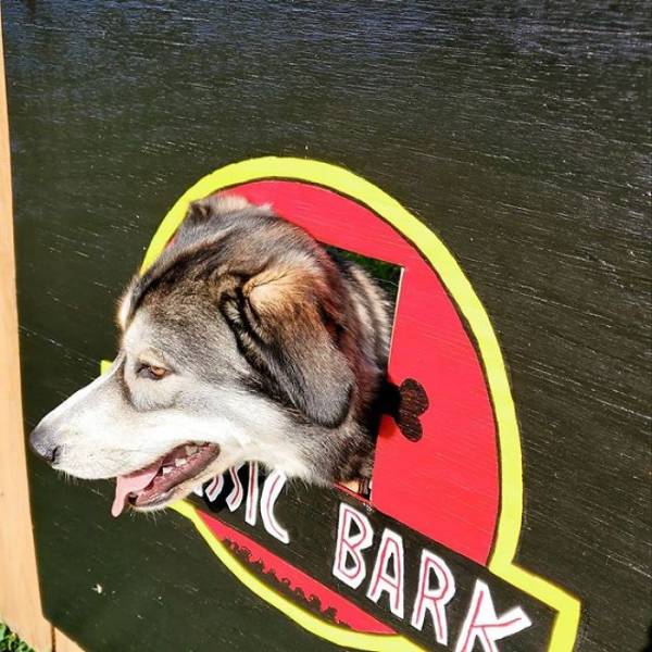 Dogs Love This Fence Hole, So Their Owners Decided To Make It Thematic