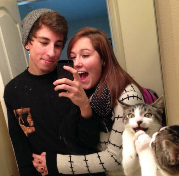 Cats Are The Masters Of Photobombing!