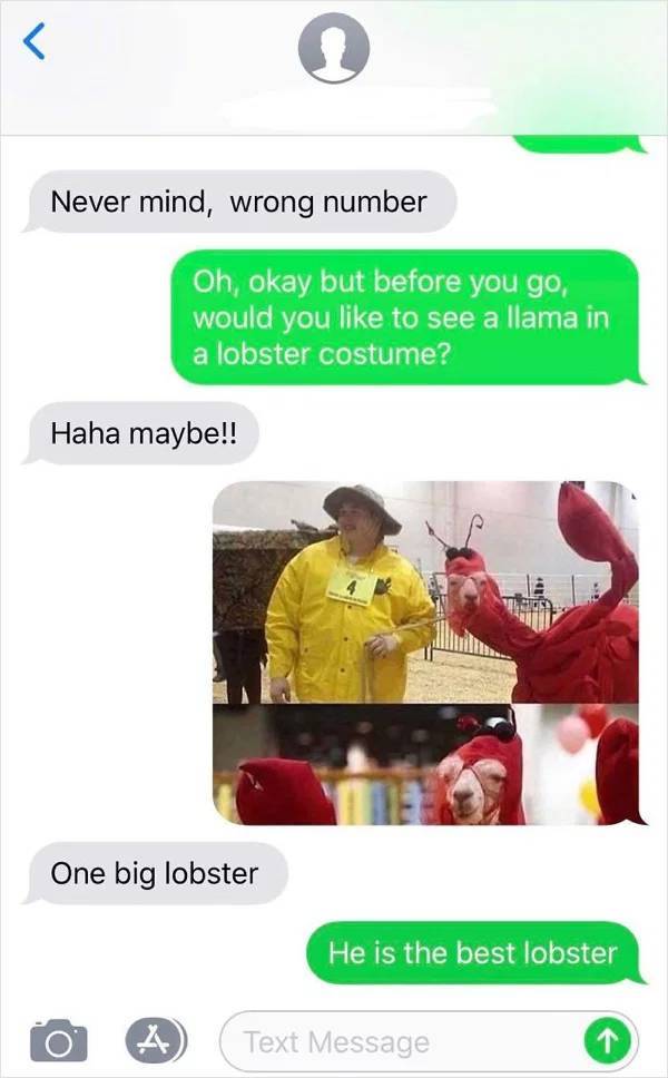 These Wrong Number Texts Weren’t That Bad…