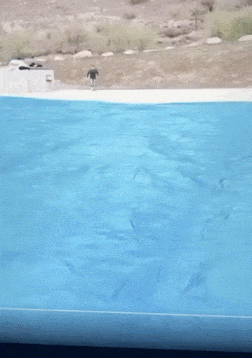 You Want To Surf But You Have Only A Skateboard? No Problem!