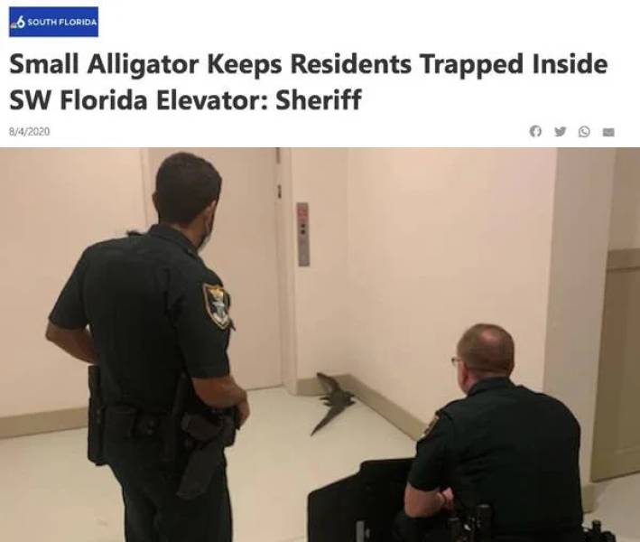 Just Another Day In Florida…