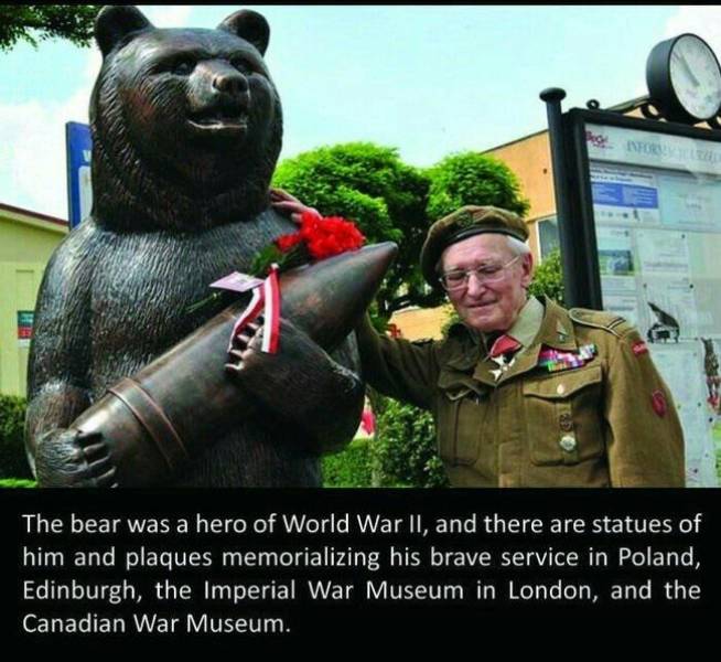 This Is Wojtek, The Bear Who Served In Polish Army Back In World War II
