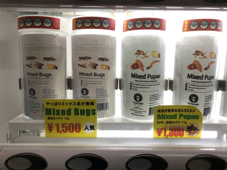 These Japanese Vending Machines Sell Edible Insects…