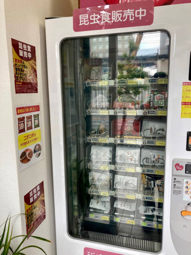 These Japanese Vending Machines Sell Edible Insects…