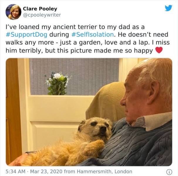 Fancy Some Wholesome Dog Photos?