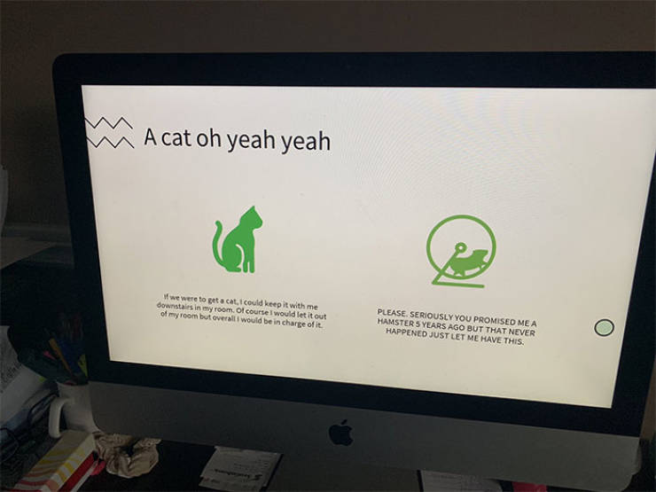 Canadian Girl Tries To Get A Cat From Her Parents, Creates A Viral PowerPoint Presentation