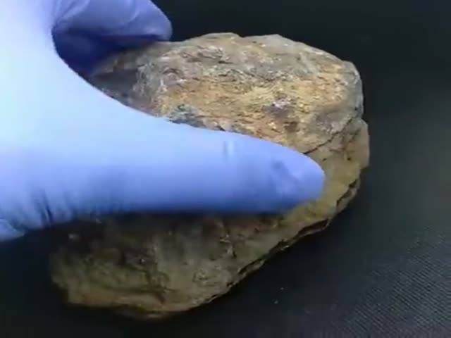 Meteorite Cut In Half…