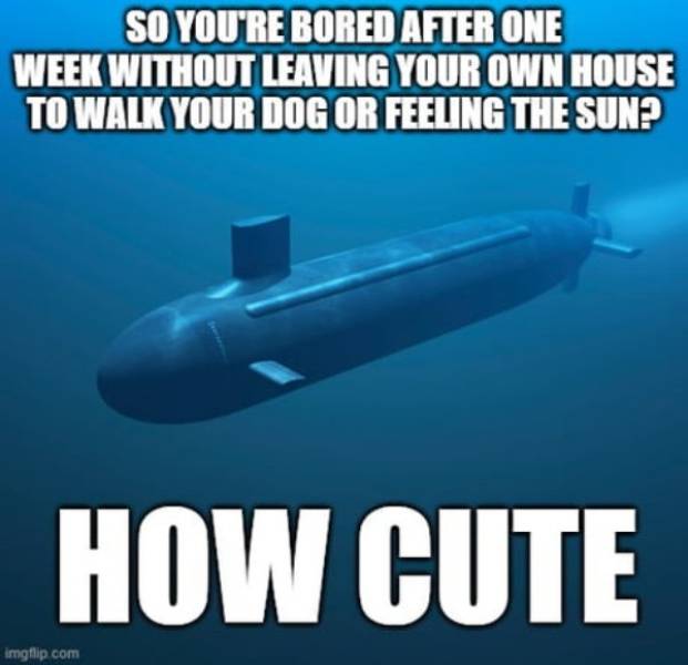 Go Underwater With These Submarine Memes