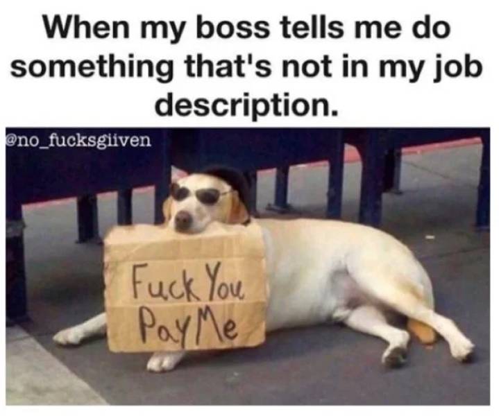 Stop Hating Your Job, Hate These Memes Instead