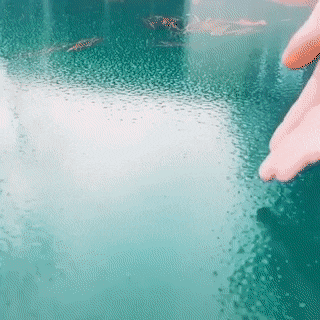 That S What Happens When You Move A Hand Through A Very Thin Layer Of Ice Gif Izismile Com