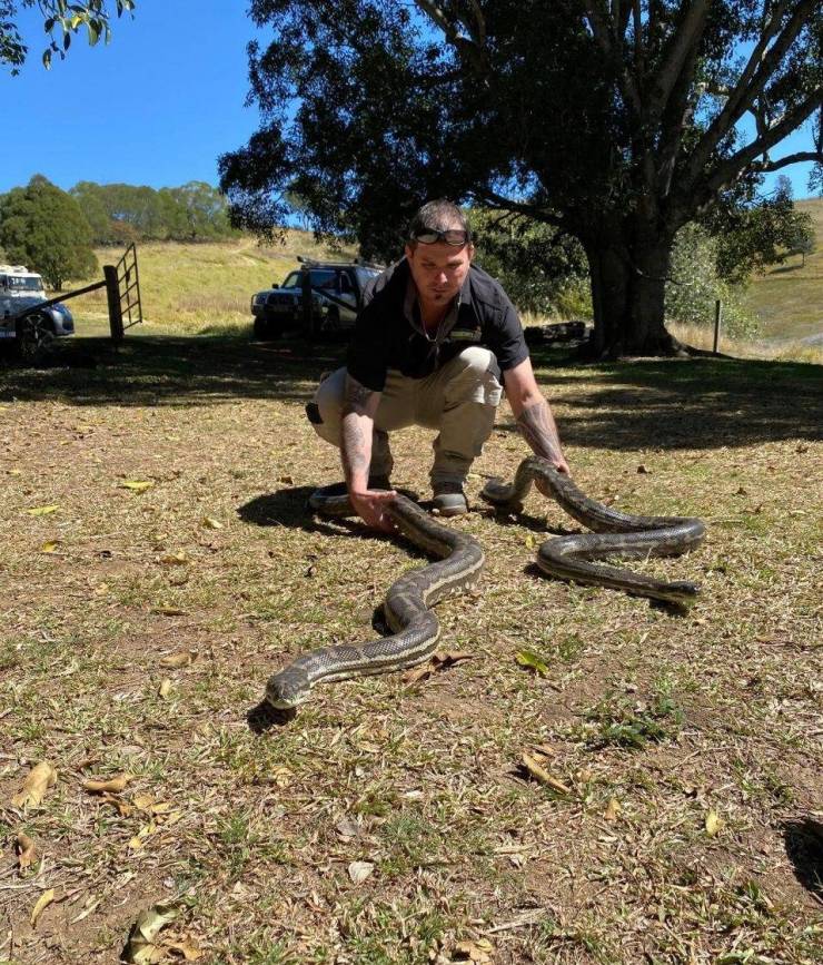 Australia Is Just A Huge NOPE!