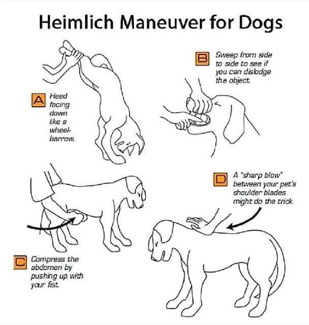 Random Knowledge Goes Well With Charts!