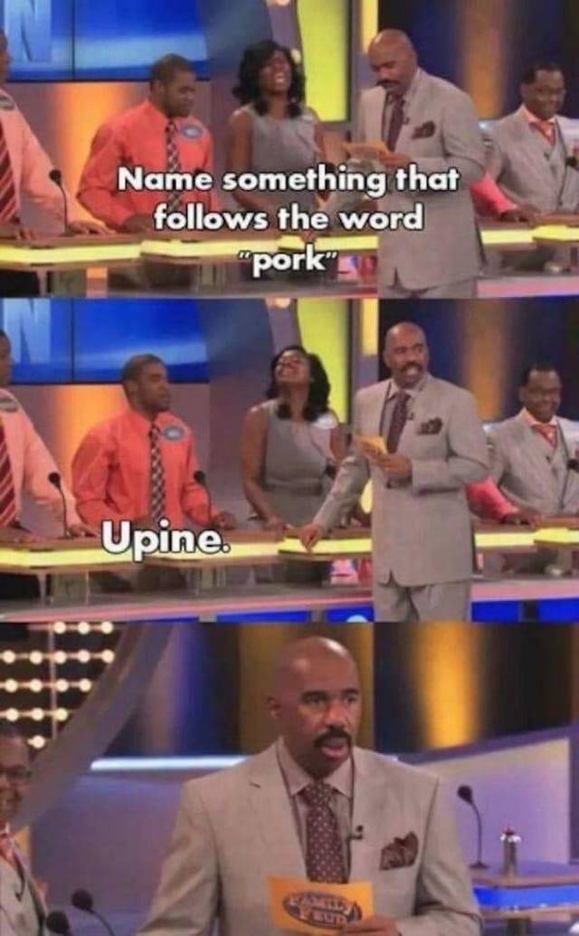 Not The Smartest Answers From “Family Feud”…