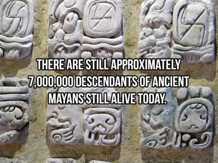 These Ancient Mayan Facts Could Sacrifice You…