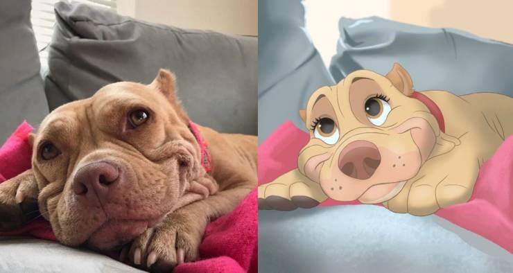 Daily Picdump