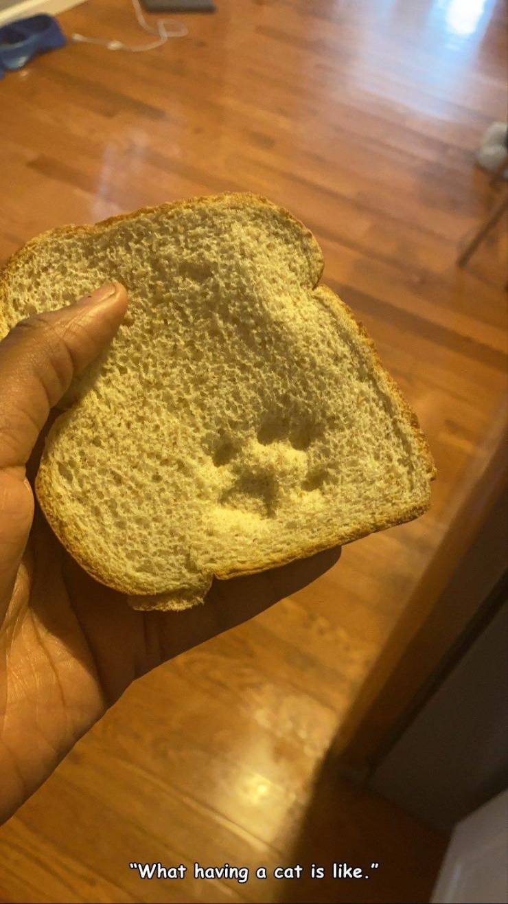 The Definition Of A Bad Day