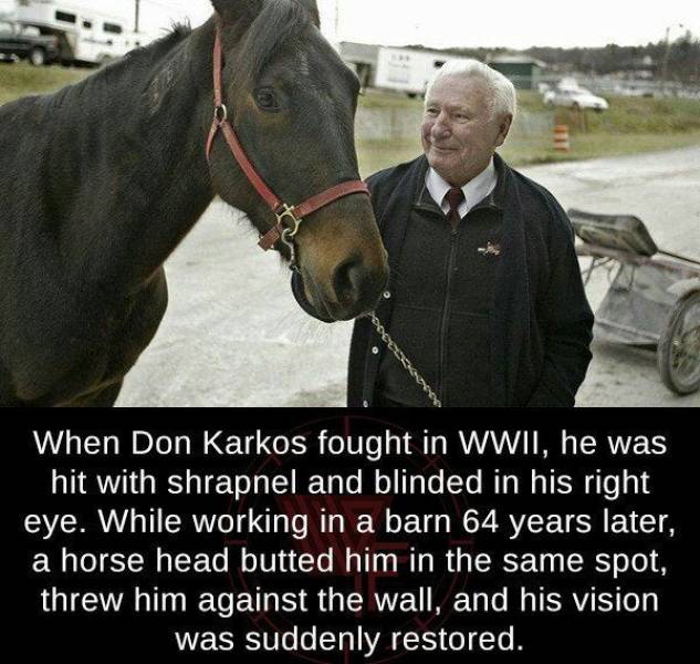 The Odds Were Extremely Low…