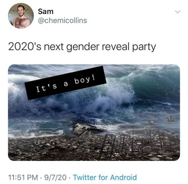 A Dose Of Sarcastic Tweets About Gender Reveals