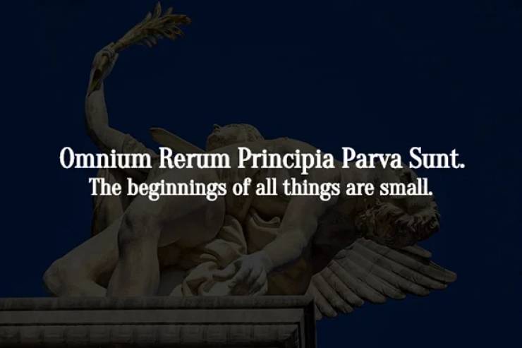 Latin Phrases You Could Use In Important Conversations