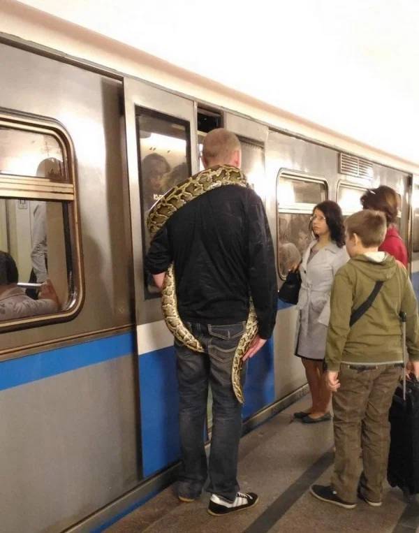Subways Are Just Weird…