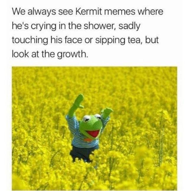 Wholesome Memes Are Great!