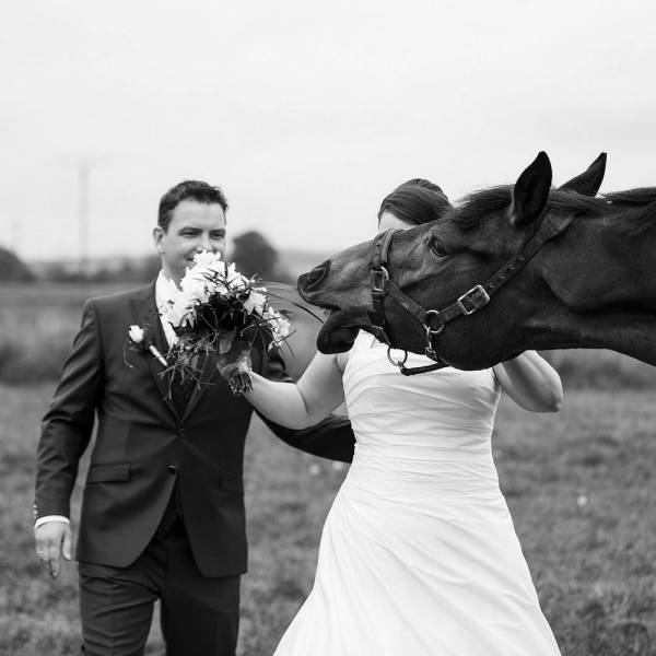 Marriage Photos With A Bit Of Extra Fun