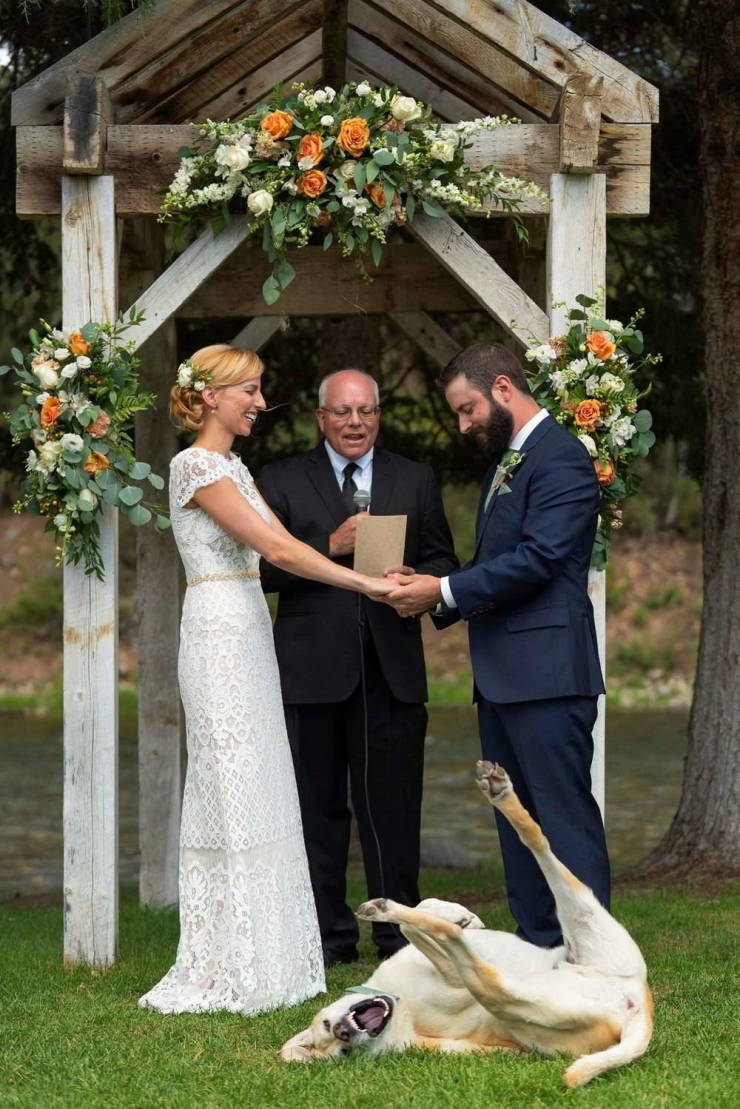 Marriage Photos With A Bit Of Extra Fun