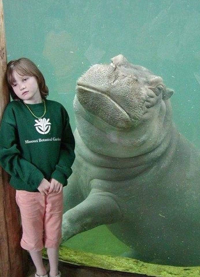 These Family Photos Are Either Funny Or Awkward…
