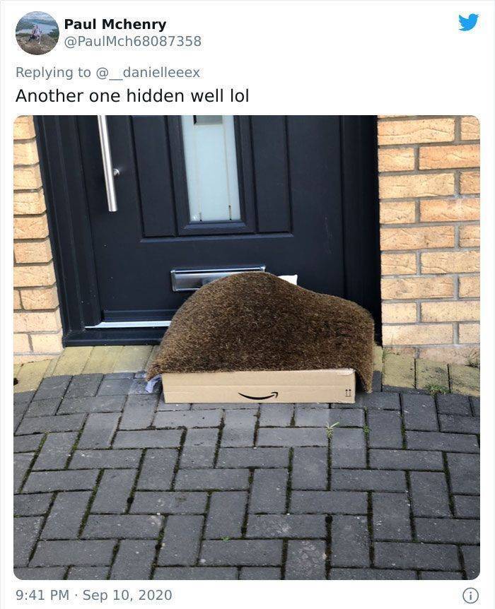 How Delivery People Hide Packages…