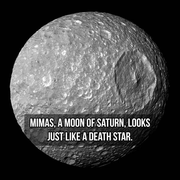So Many Moons, So Many Facts…