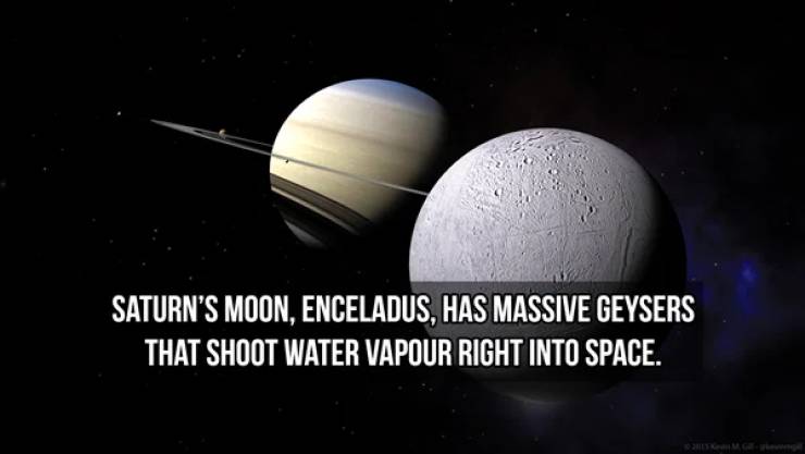 So Many Moons, So Many Facts…