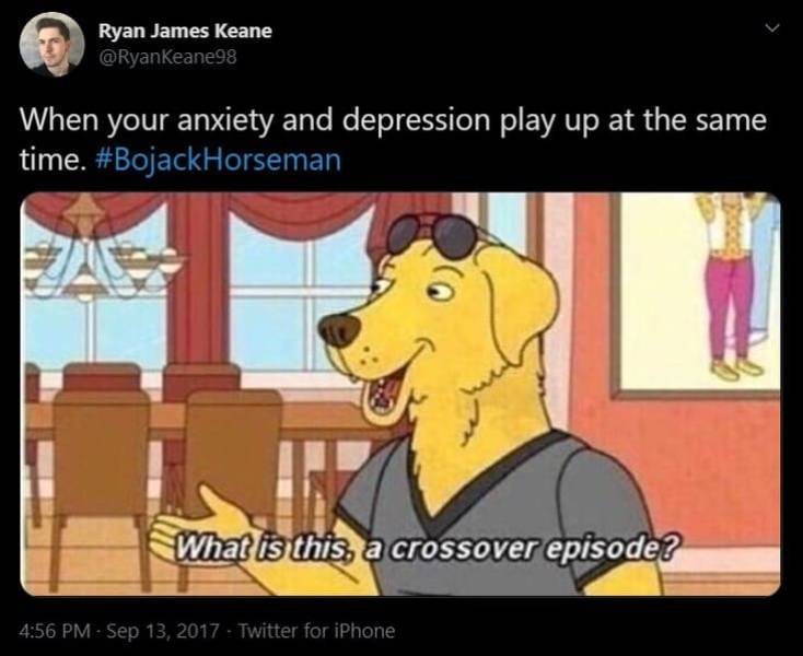 At Least Depression Goes With Memes…