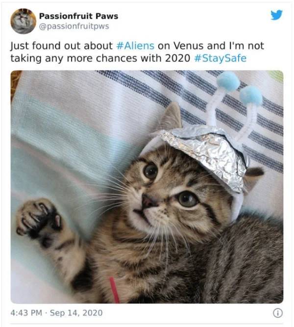 Forget About Mars! It’s Venus Time!