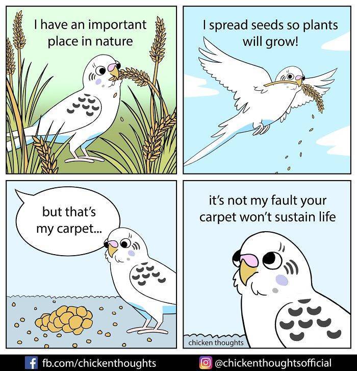 These Comics Show The Hidden Life Of Birds