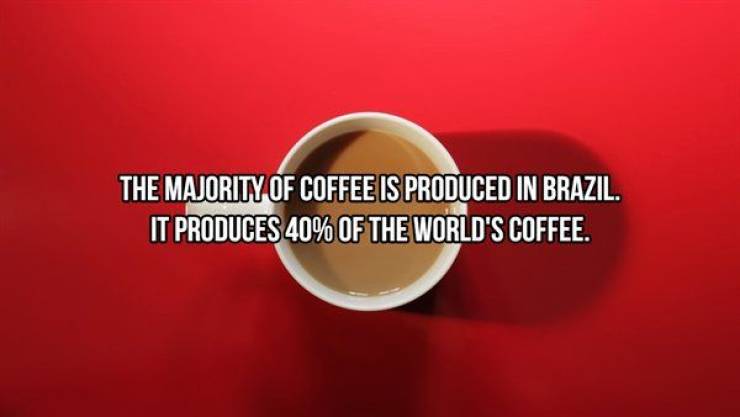 Addictive Facts About Coffee